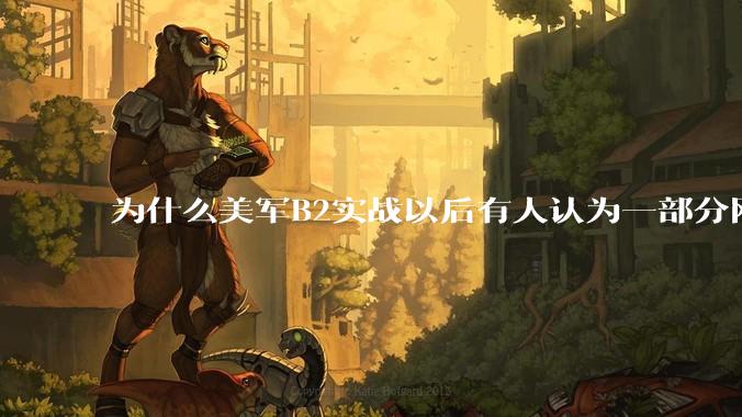 为什么美军B2实战以后有人认为一部分网友又没信心了？