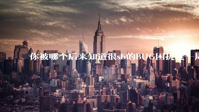 你被哪个后来知道很sb的BUG困扰过一周以上吗？