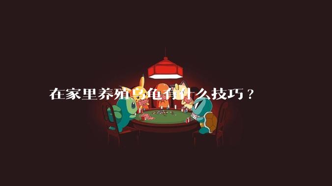 在家里养殖乌龟有什么技巧?