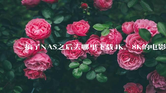 搞了NAS之后去哪里下载4K，8K的电影？
