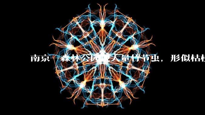 南京一森林公园现大量竹节虫，形似枯枝，网友称凑近才发现是虫子落荒而逃，竹节虫会不会咬人？碰到它会怎样？