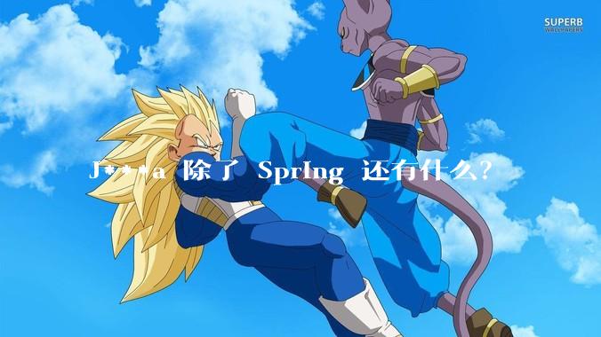 J***a 除了 Spring 还有什么？