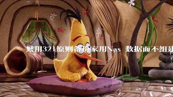 只用321原则备份家用Nas 数据而不组建raid阵列的人，不怕哪天备份全部同时损坏导致无法恢复吗？