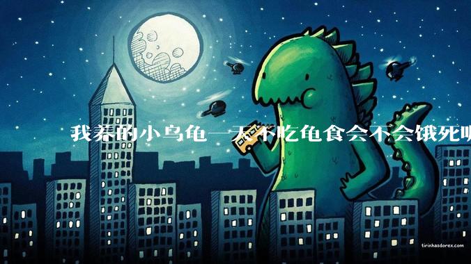 我养的小乌龟一天不吃龟食会不会饿死呢？