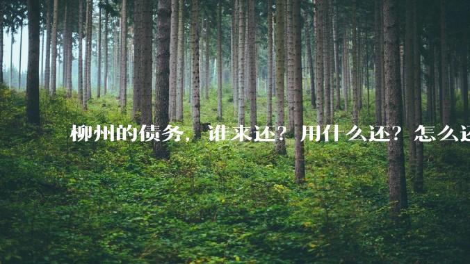 柳州的债务，谁来还？用什么还？怎么还？