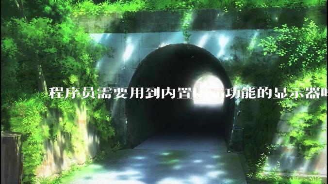 程序员需要用到内置kvm功能的显示器吗？或者是外置的kvm切换器吗？