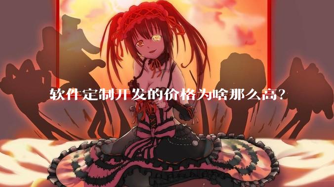 软件定制开发的价格为啥那么高？