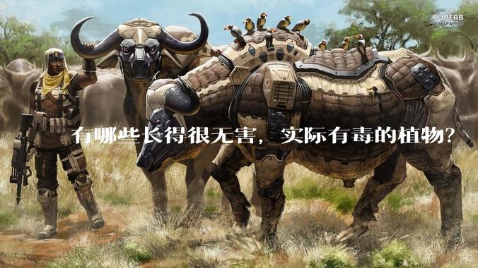 有哪些长得很无害，实际有毒的植物？