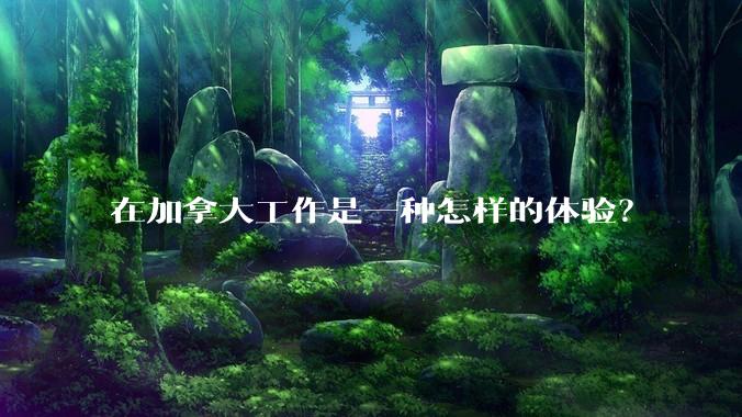 在加拿大工作是一种怎样的体验？