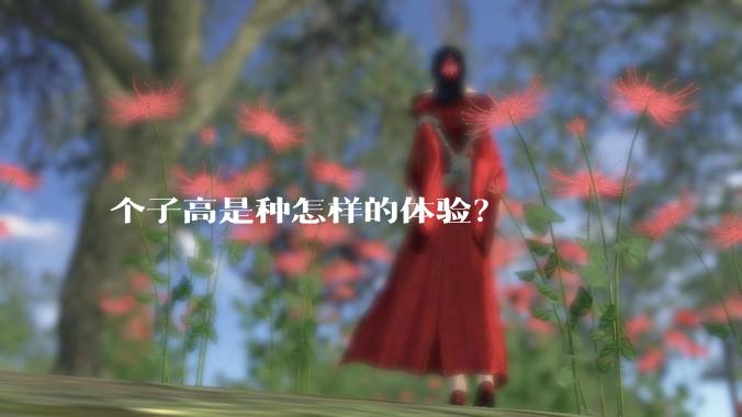 个子高是种怎样的体验？
