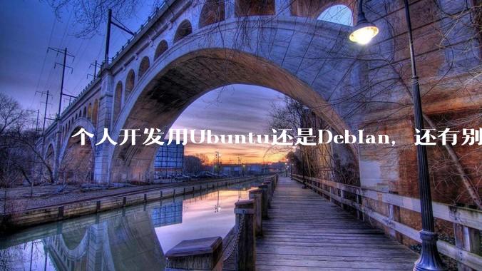 个人开发用Ubuntu还是Debian，还有别的推荐吗？