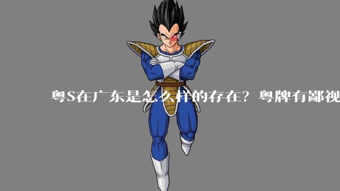 粤S在广东是怎么样的存在？粤牌有鄙视链吗？