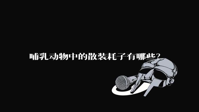 哺乳动物中的散装耗子有哪些？