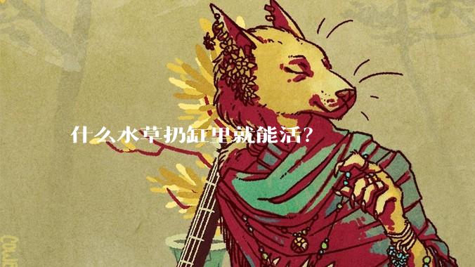 什么水草扔缸里就能活？