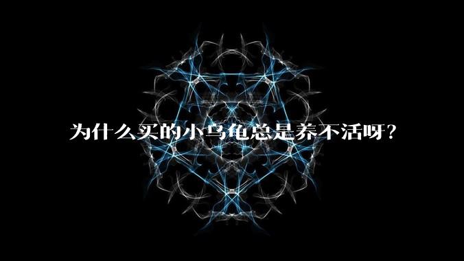 为什么买的小乌龟总是养不活呀？
