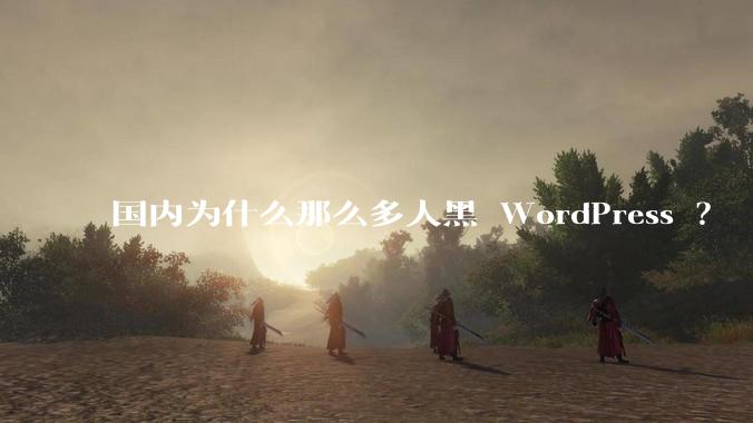 国内为什么那么多人黑 WordPress ？