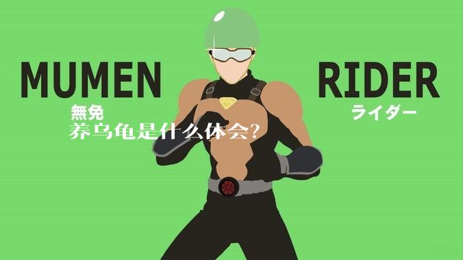 养乌龟是什么体会？
