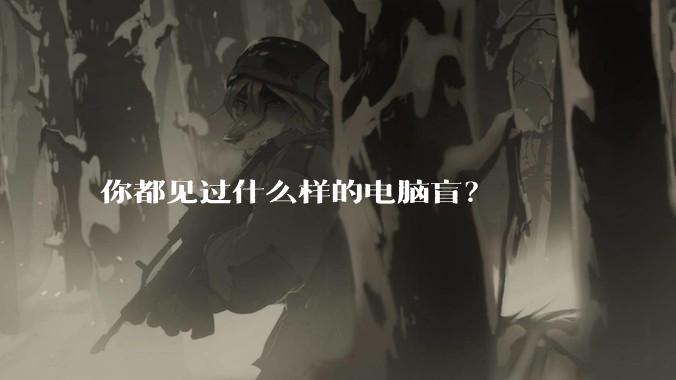 你都见过什么样的电脑盲？