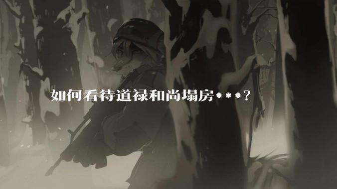 如何看待道禄和尚塌房***？
