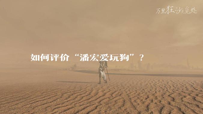 如何评价“潘宏爱玩狗”？