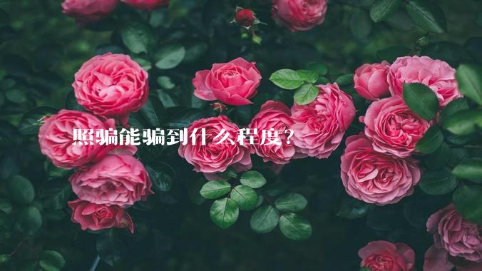 照骗能骗到什么程度？
