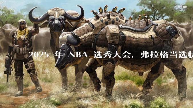 2025 年 NBA 选秀大会，弗拉格当选状元，杨瀚森 16 顺位被选中，怎样评价各队的选秀结果？