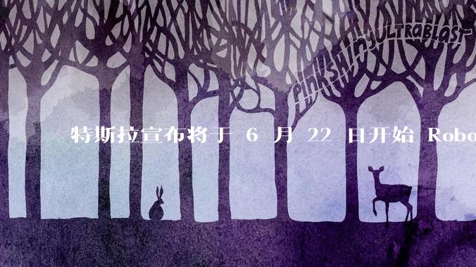 特斯拉宣布将于 6 月 22 日开始 Robotaxi 公开试运营，这将对自动驾驶行业带来哪些影响？