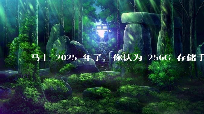 马上 2025 年了，你认为 256G 存储手机在 2025 年还够用吗？