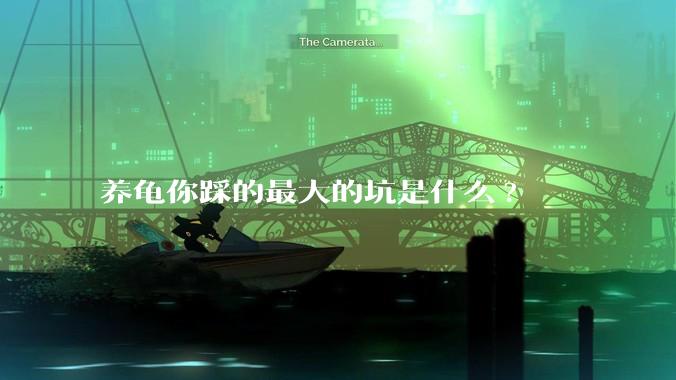 养龟你踩的最大的坑是什么?