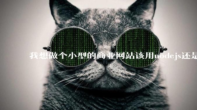 我想做个小型的商业网站该用nodejs还是python做后端？