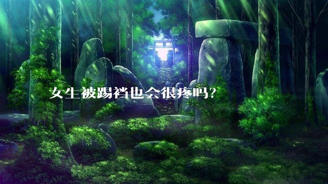 女生被踢裆也会很疼吗？
