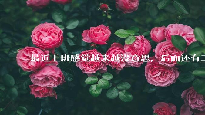 最近上班感觉越来越没意思，后面还有二三十年要上班，该怎么办呢？