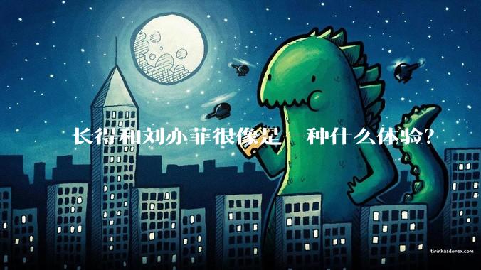 长得和刘亦菲很像是一种什么体验？
