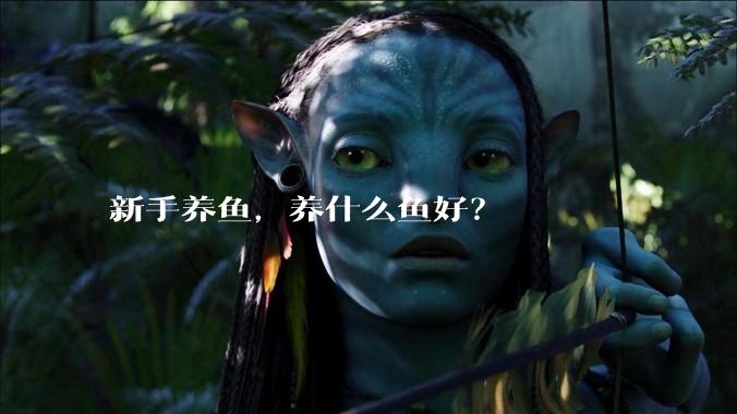 新手养鱼，养什么鱼好？