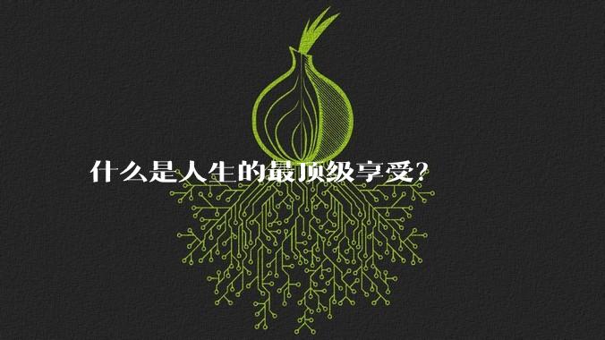 什么是人生的最顶级享受？