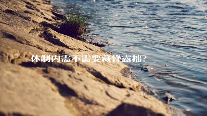 体制内需不需要藏锋露拙？
