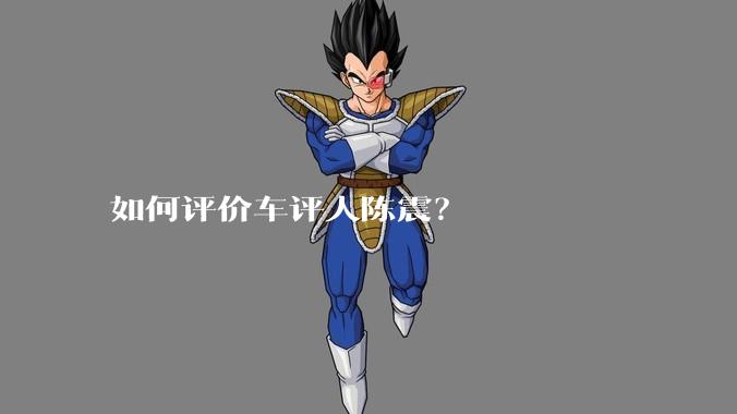 如何评价车评人陈震？