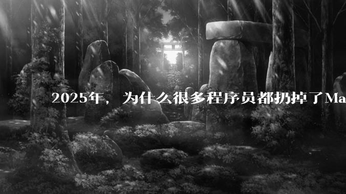 2025年，为什么很多程序员都扔掉了Mac和Linux，开始拥抱Win11了？