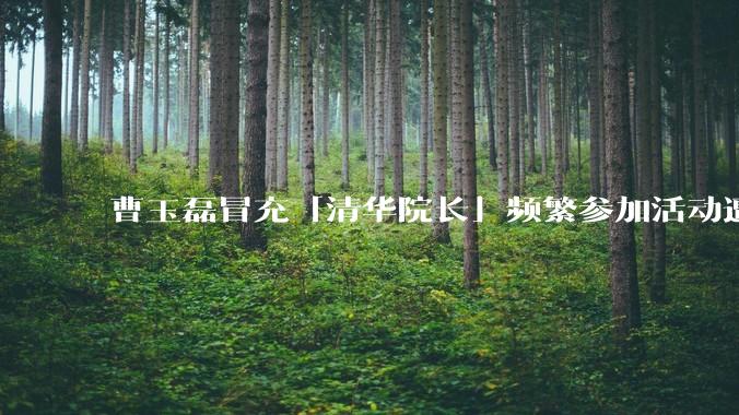 曹玉磊冒充「清华院长」频繁参加活动遭官方打***，他为何能堂而皇之以***身份开展活动？其将受到哪些处罚？