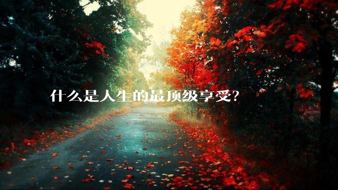 什么是人生的最顶级享受？