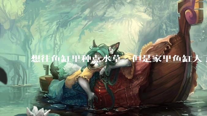想往鱼缸里种点水草，但是家里鱼缸大了买水草泥或者底砂太贵了，有没有生活中可以替代的物品或其他建议？