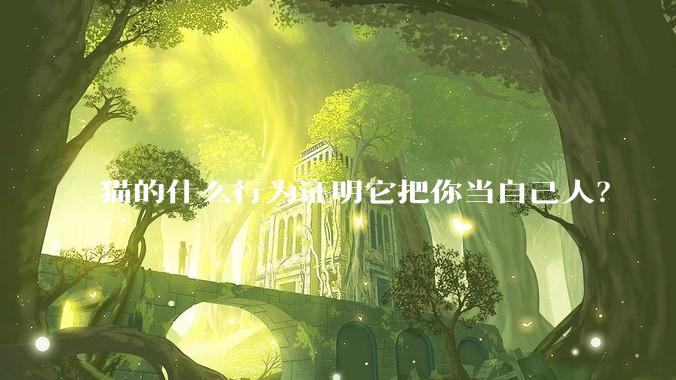 猫的什么行为证明它把你当自己人？
