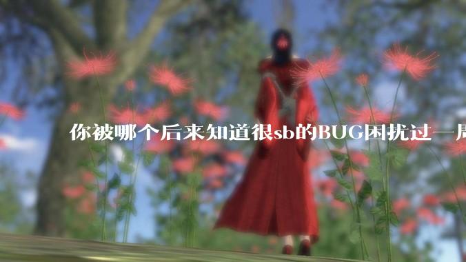 你被哪个后来知道很sb的BUG困扰过一周以上吗？