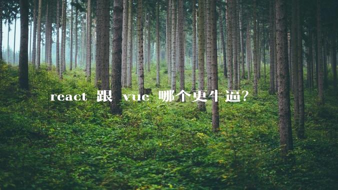 react 跟 vue 哪个更牛逼？