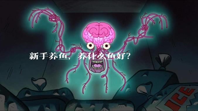 新手养鱼，养什么鱼好？