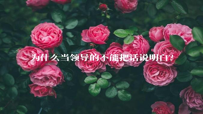 为什么当领导的不能把话说明白？
