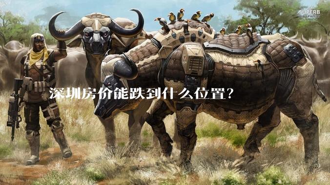 深圳房价能跌到什么位置？
