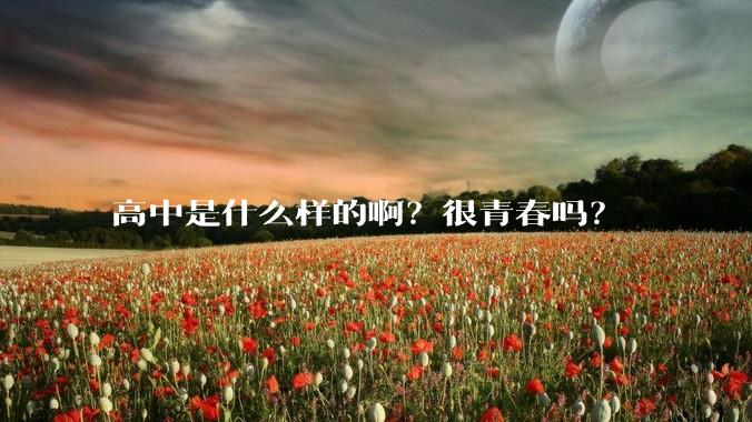 高中是什么样的啊？很青春吗？