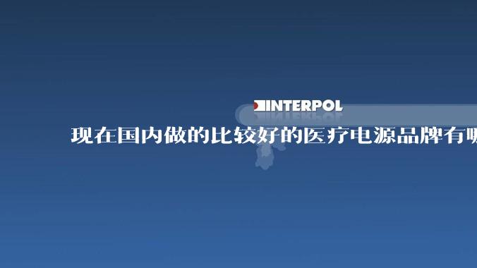 现在国内做的比较好的医疗电源品牌有哪些？