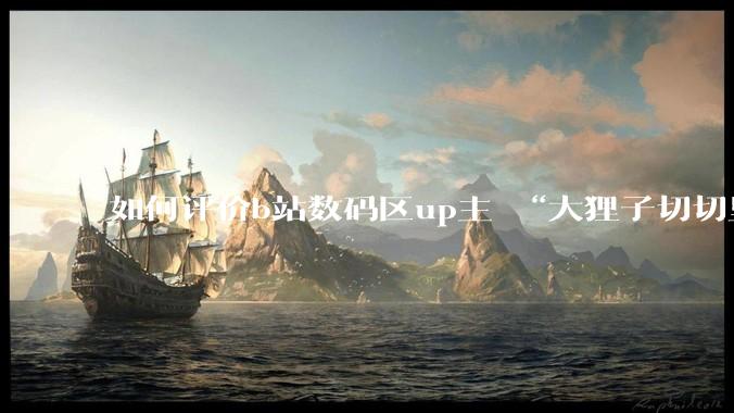 如何评价b站数码区up主 “大狸子切切里”?